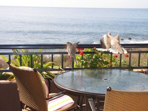 Terrace/patio - Apartamentos Chijeré Faro del Inglés (Valle Gran Rey)