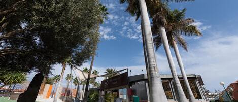 A resort with palm trees, a signboard, and a building with a modern design.