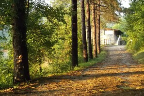 Property entrance - La Casella (Ficulle)