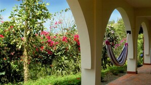 A garden with a hammock, arches, and lush greenery.