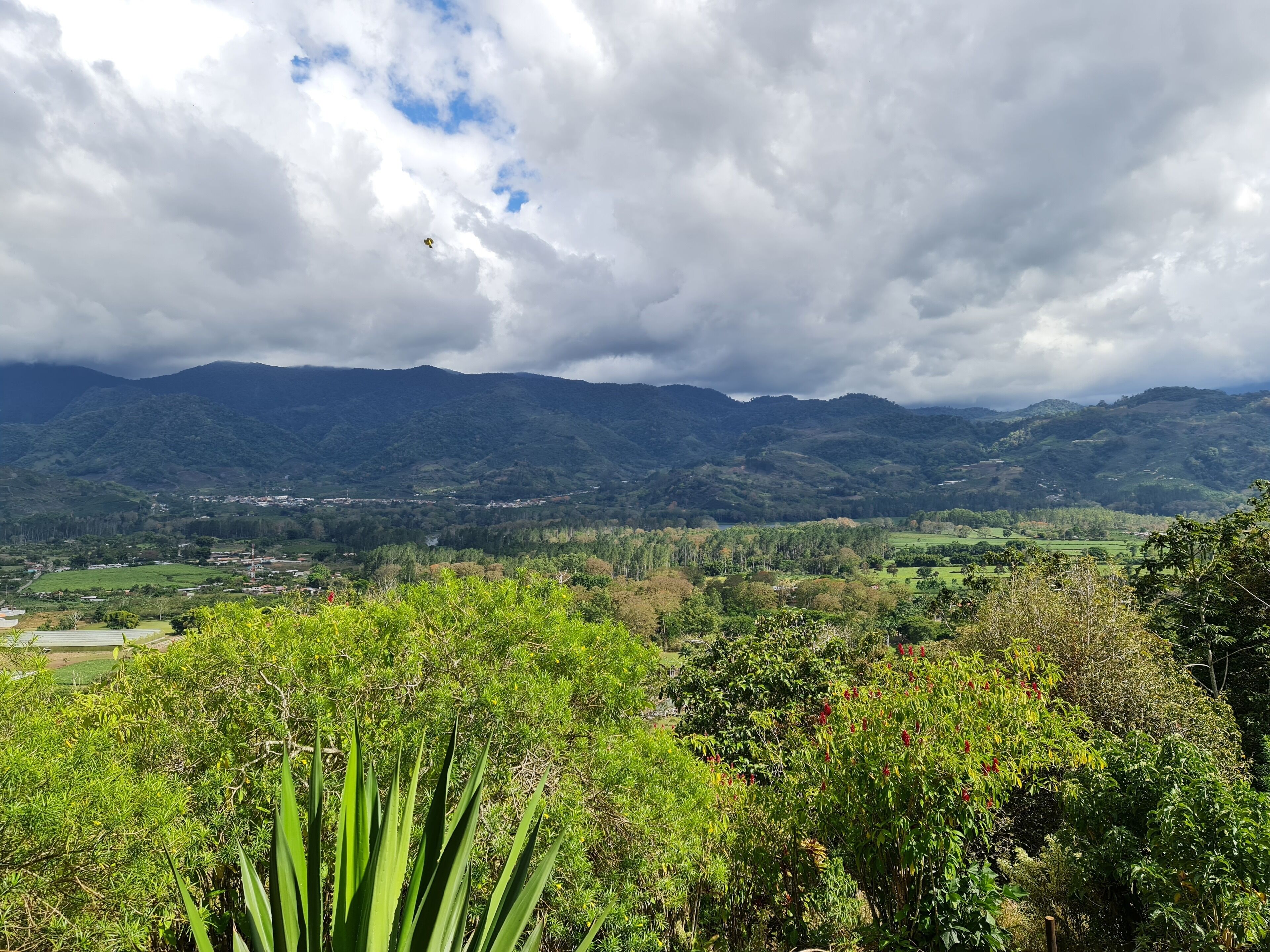 basic room, 2 bedrooms, non smoking, shared bathroom | individually decorated, individually furnished, iron/ironing board