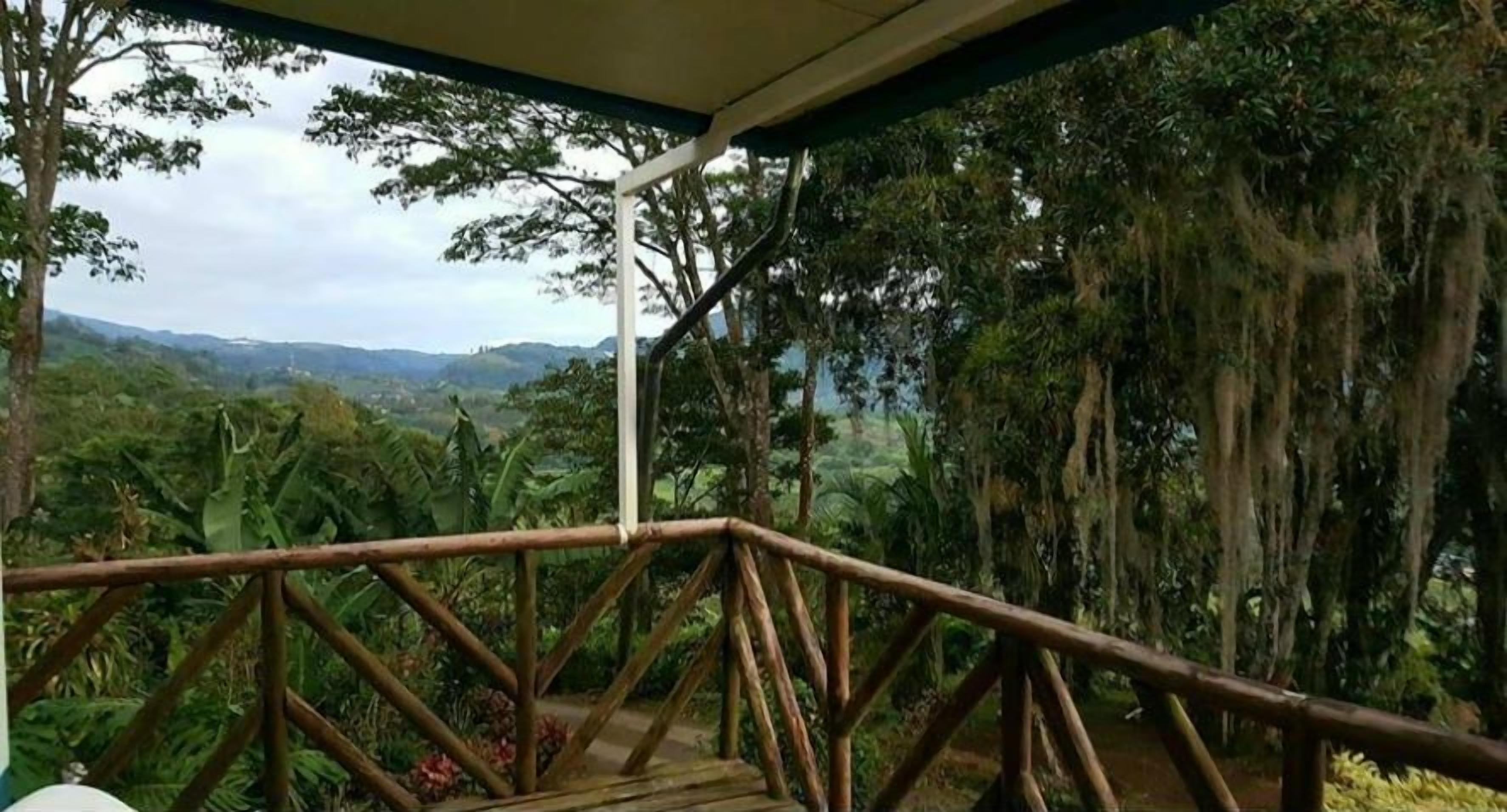 basic cabin, 2 bedrooms, kitchen | terrace/patio