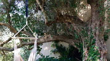 Rumah Panorama, Beberapa Tempat Tidur, dapur, pemandangan lembah | Teras/patio