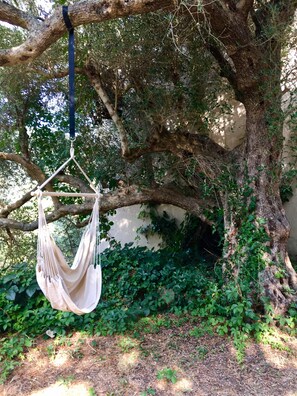 Panoramic House, Berbilang Katil, Kitchen, Valley View | Teres/patio