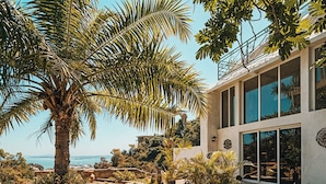 Una casa moderna con un gran ventanal, rodeada de plantas tropicales y una zona de arena.