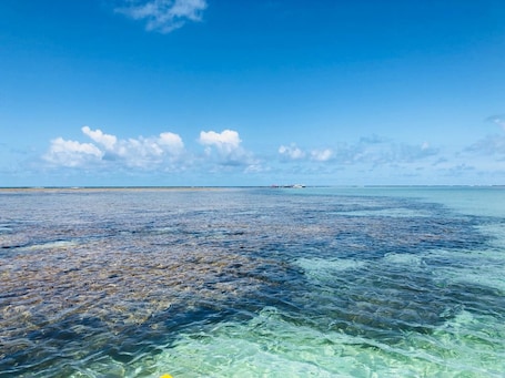 Perto da praia . Pousada São Miguel dos Milagres