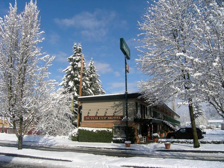 A Dutch Cup Hotel with a signboard, surrounded by snow-covered trees and a clear sky.