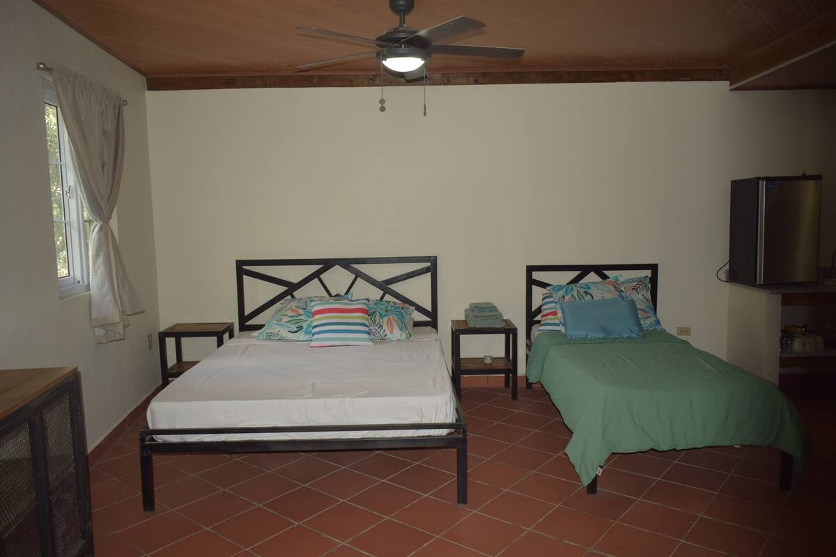 Un dormitorio con una cama, dos mesitas de noche, un ventilador de techo y un televisor.