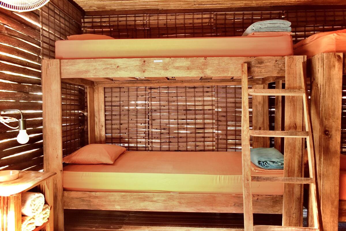 Una cama litera con escalera, paredes de madera y una ventana con persianas.