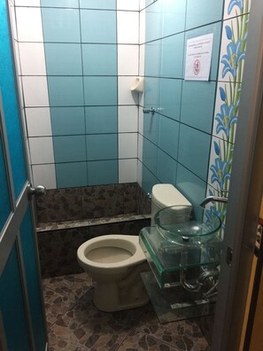 Douche, séchoir à cheveux, serviettes fournies