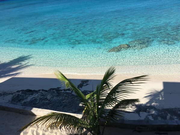 Vistas desde el alojamiento