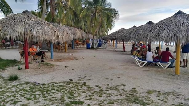 Eine Strandbucht mit reetgedeckten Sonnenschirmen und Tischen, Palmen und einem Sandweg.