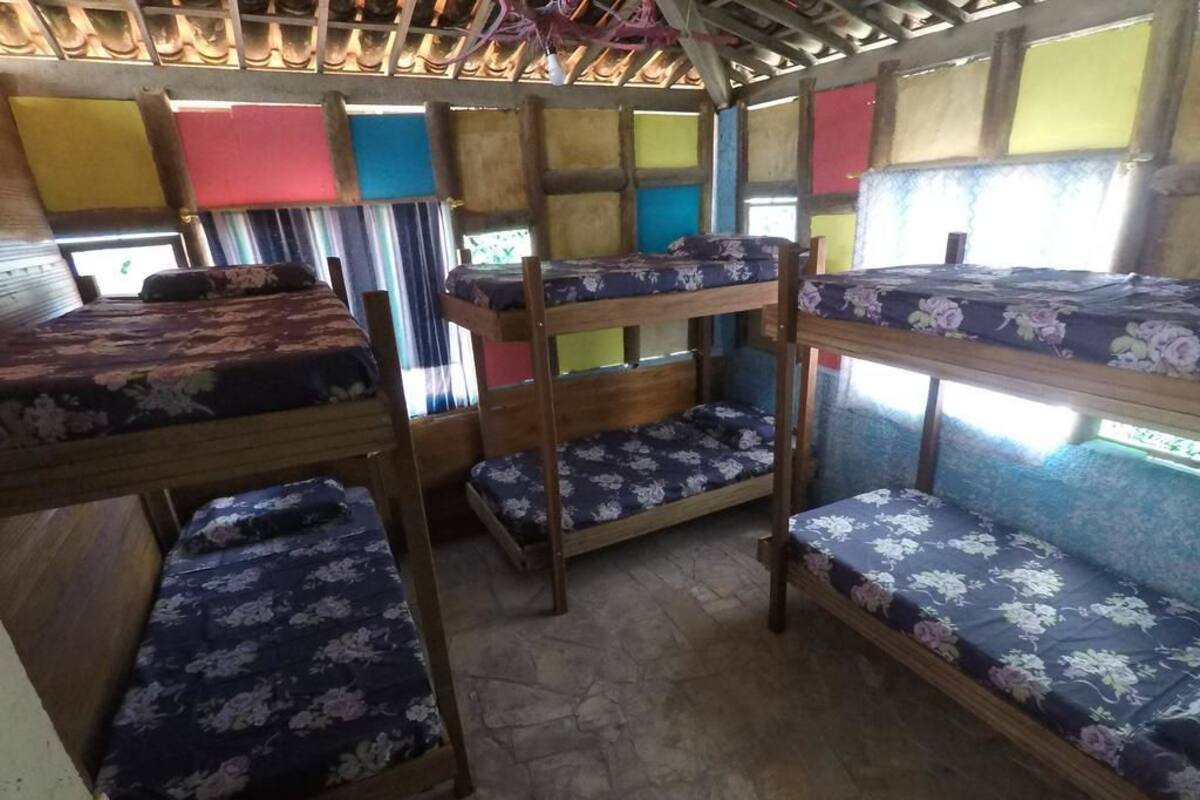 Shared Dormitory, Mixed Dorm