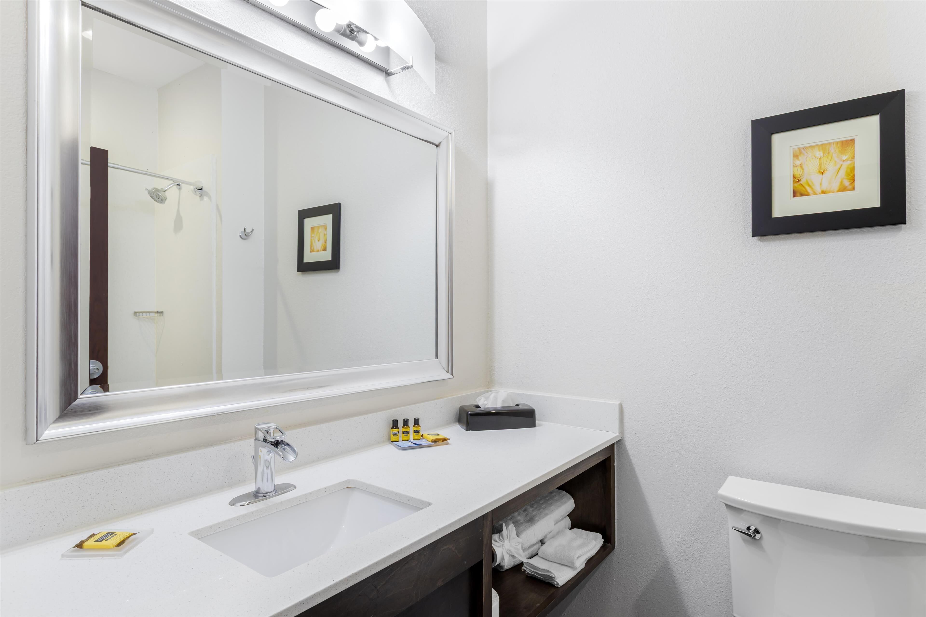 deep-soaking bathtub, hydromassage showerhead, free toiletries