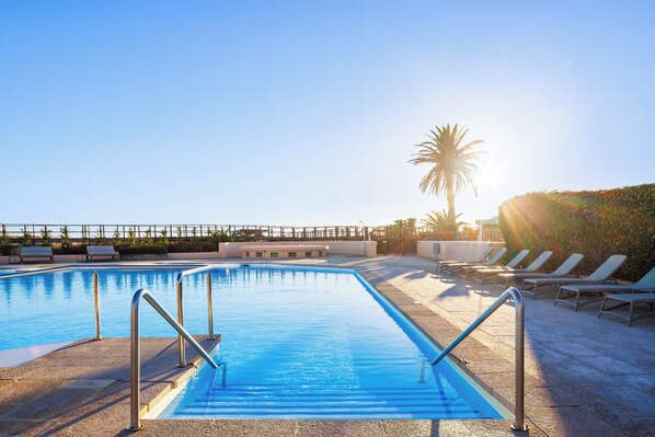 Une piscine à l’eau scintillante sous le soleil, un palmier et des chaises longues.