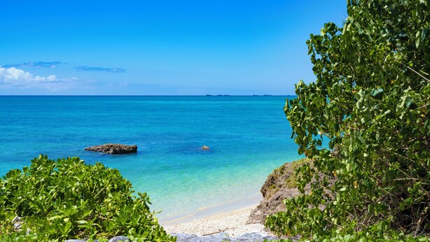 Une plage à l’eau turquoise et limpide, bordée d’un rivage sablonneux et d’une végétation luxuriante.