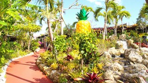Un jardin tropical avec un sentier, des palmiers et une grande sculpture en forme d’ananas.