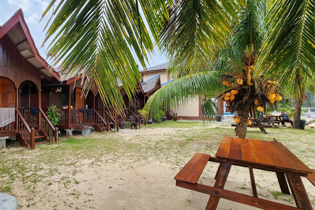 A wooden building with a porch, a palm tree with coconuts, and a wooden table.