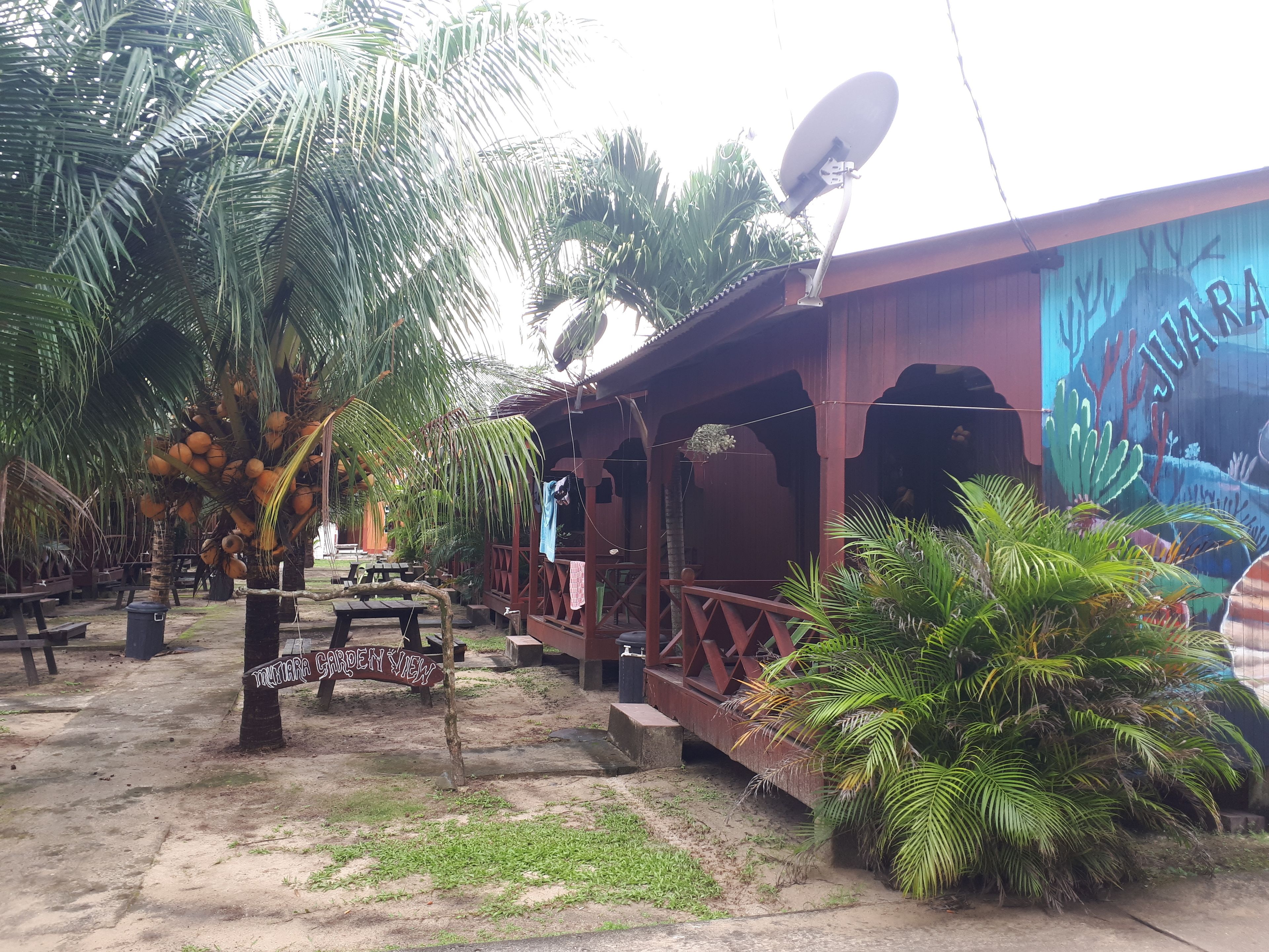 Un espacio de estar al aire libre de estilo rústico con mesas y bancos de madera, rodeado de exuberante vegetación y palmeras.