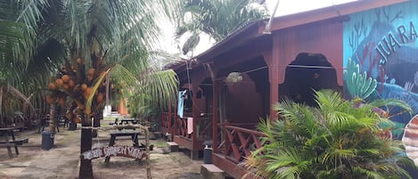 Un espacio de estar al aire libre de estilo rústico con mesas y bancos de madera, rodeado de exuberante vegetación y palmeras.