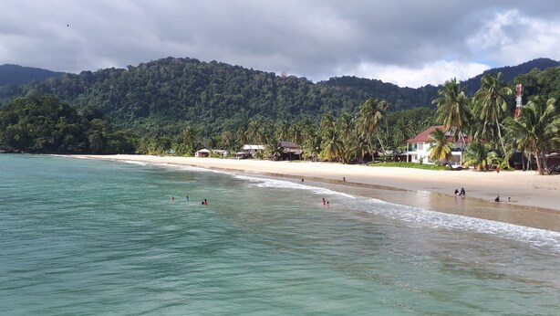 A beach with clear turquoise water, palm trees, and houses in the background. - Juara Mutiara Resort (Tioman Island)
