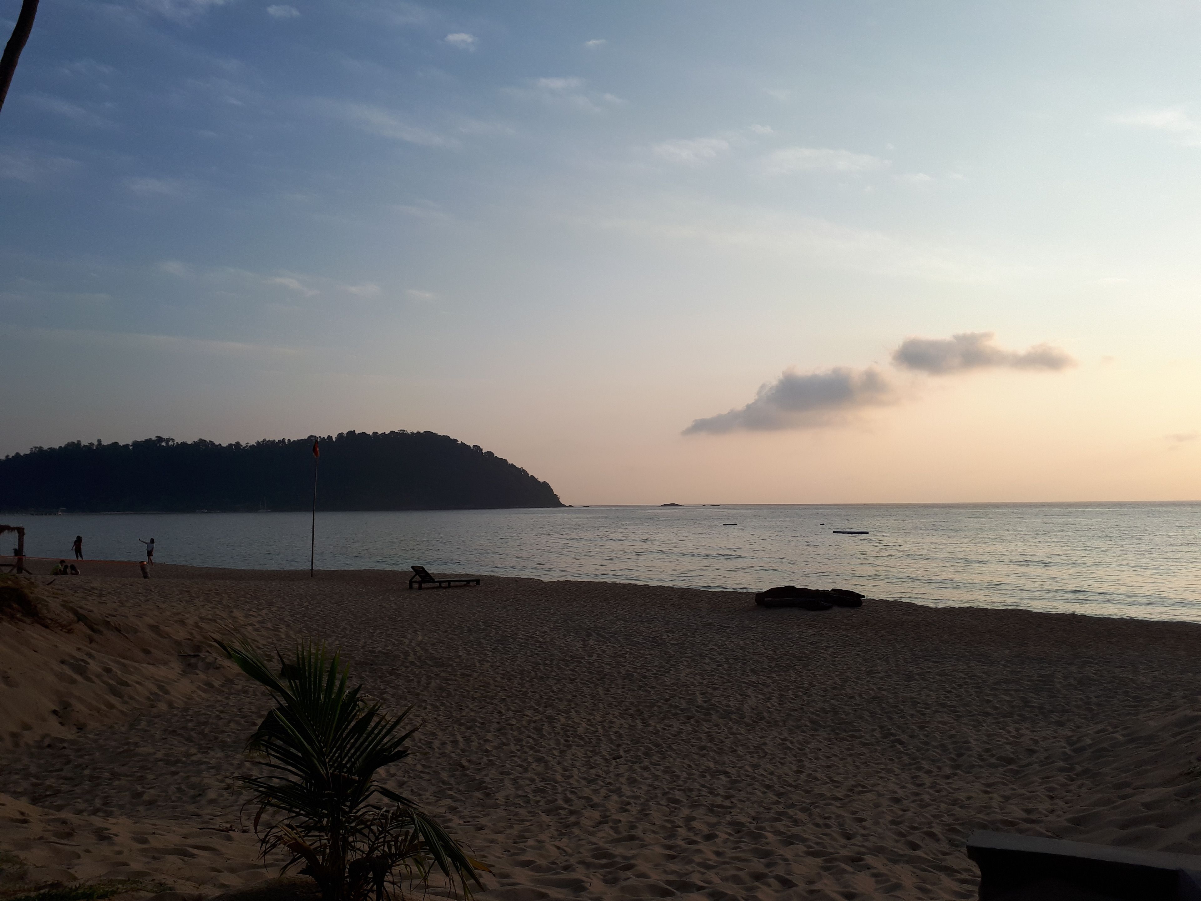 A beach with a sandy shore, a palm tree, and a distant island.
