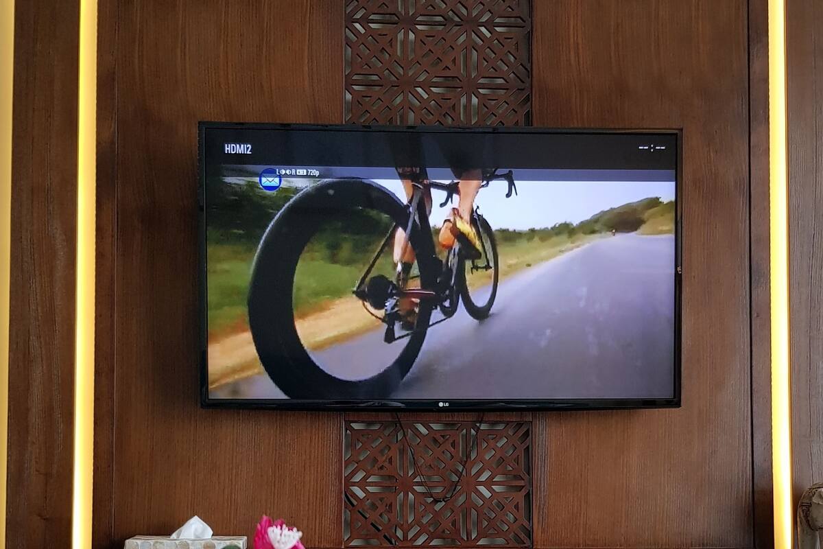 A television mounted on a wooden wall with a cactus and a bird figurine on a table in front.