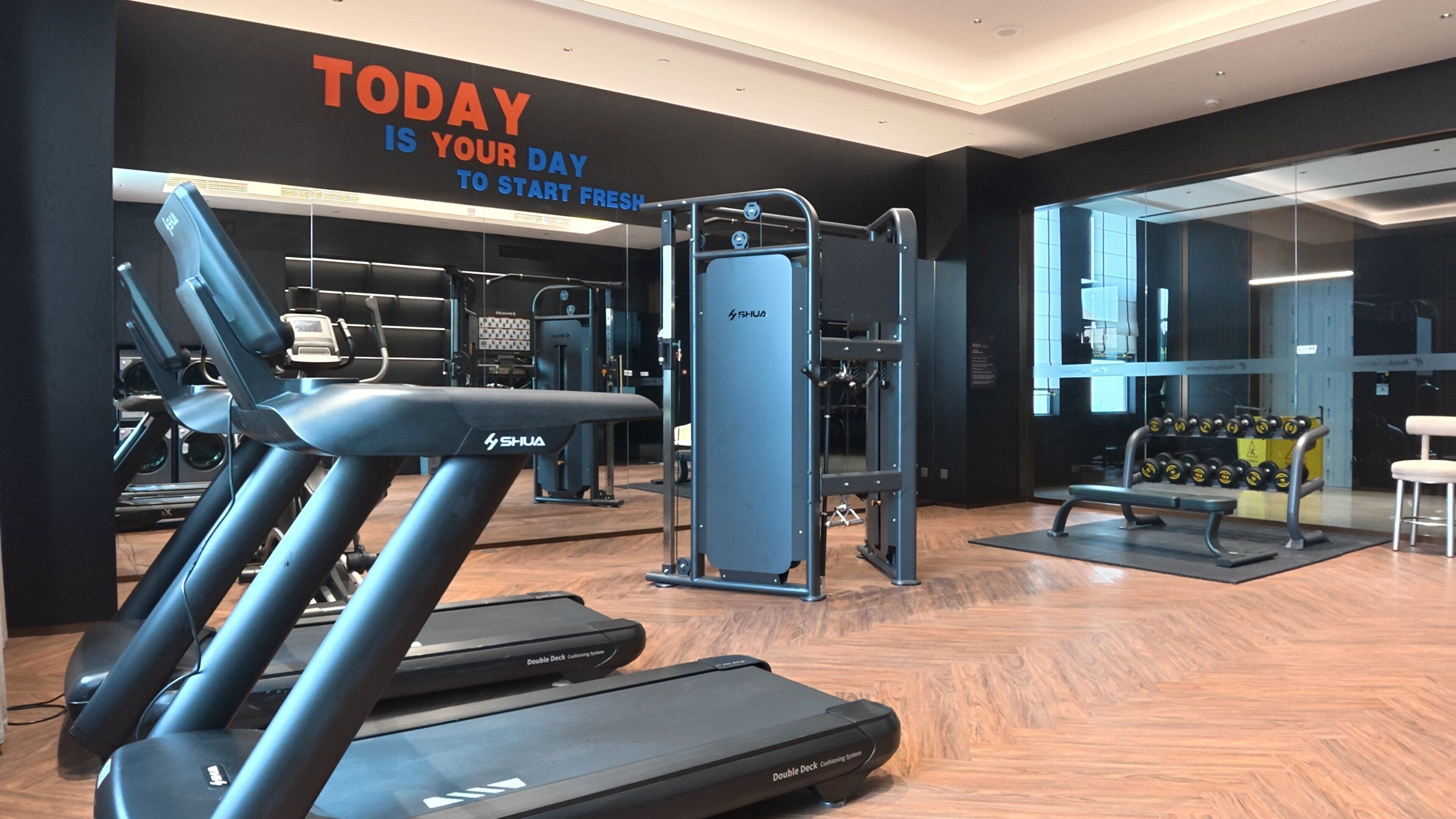 Un gimnasio con cintas de correr, una estructura para sentadillas y un banco.