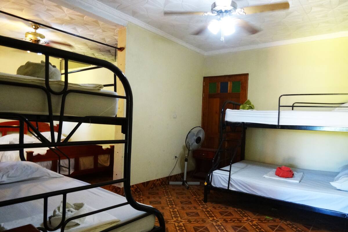 Dormitorio compartido básico, dormitorio mixto, baño compartido | Escritorio, wifi gratis, ropa de cama