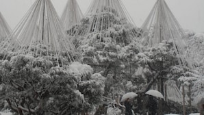 Eine Reihe von kegelförmigen Bauten vor einer verschneiten Baumgruppe.