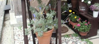 Kanazawa Share House GAOoo