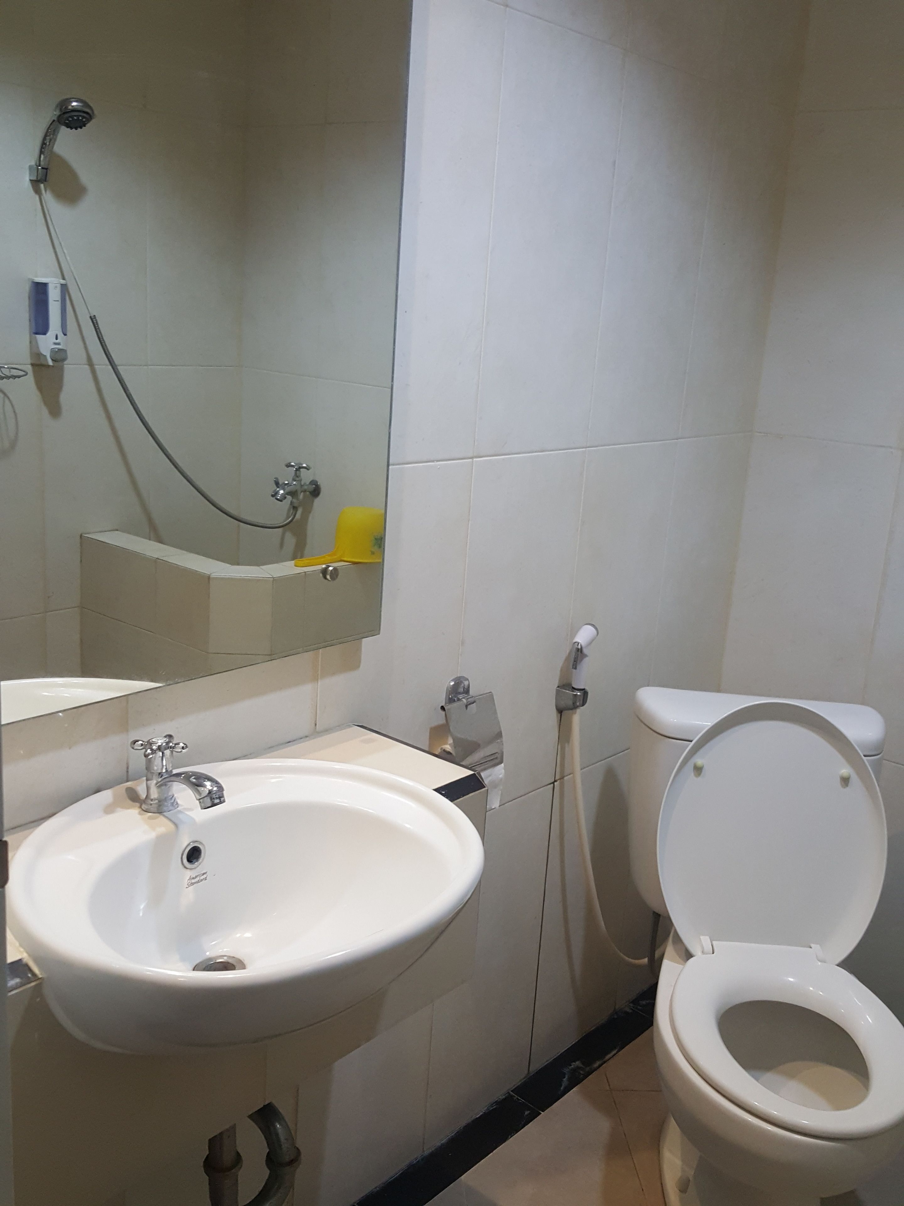 A bathroom with a white sink, a mirror, a toilet, and a shower head.
