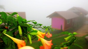 Una casa de fachada rosa, rodeada de vegetación y plantas.