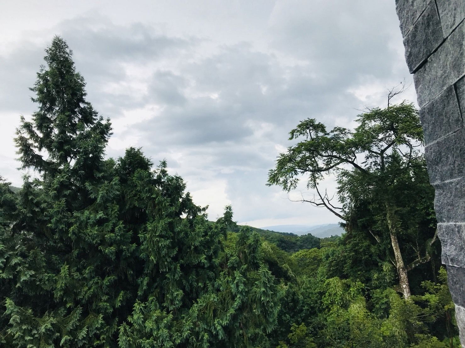 A view of a forested area with a stone structure partially visible on the right.