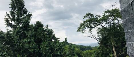 A view of a forested area with a stone structure partially visible on the right.