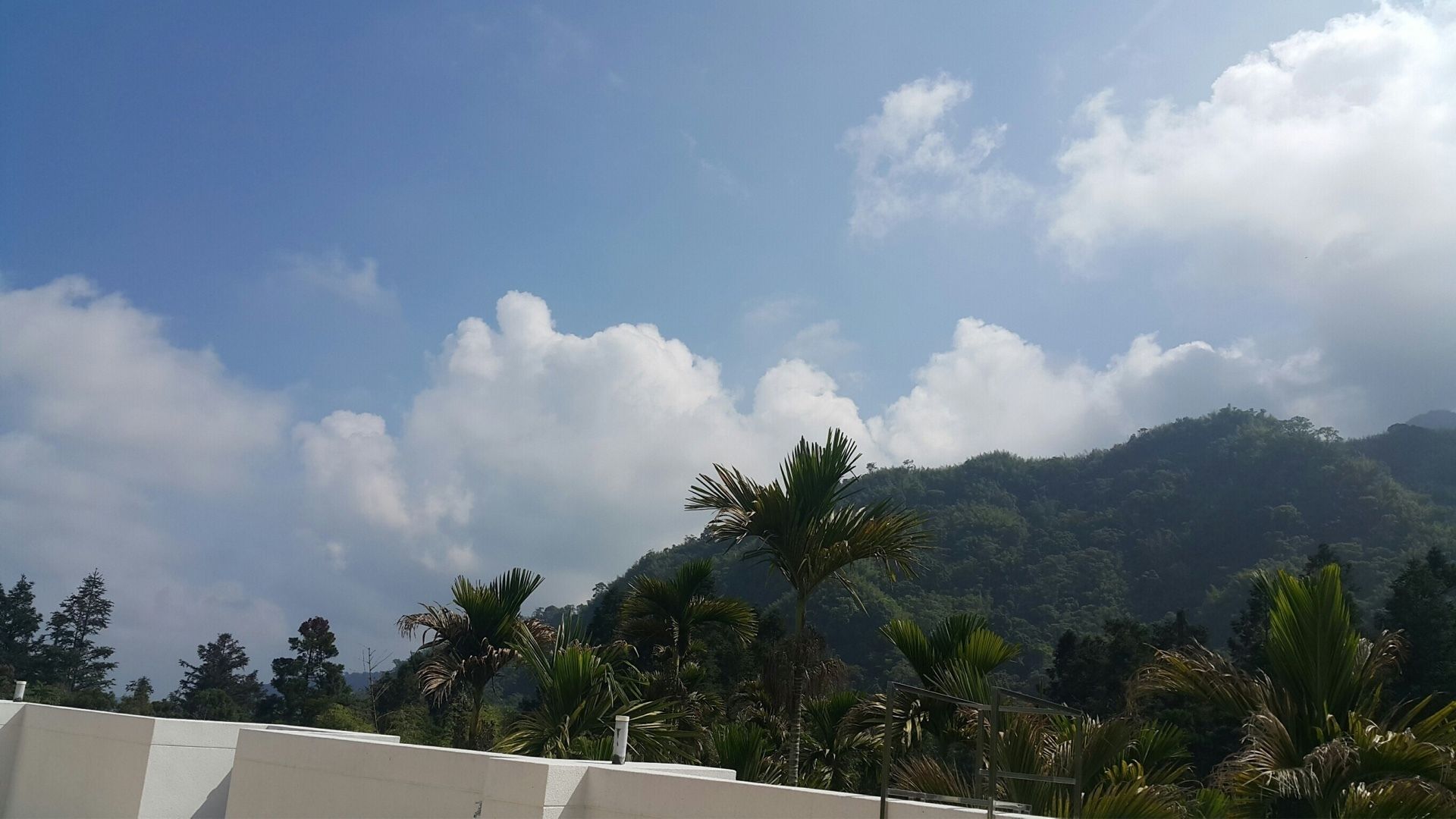 Vista de una cordillera con palmeras en primer plano y cielo despejado.