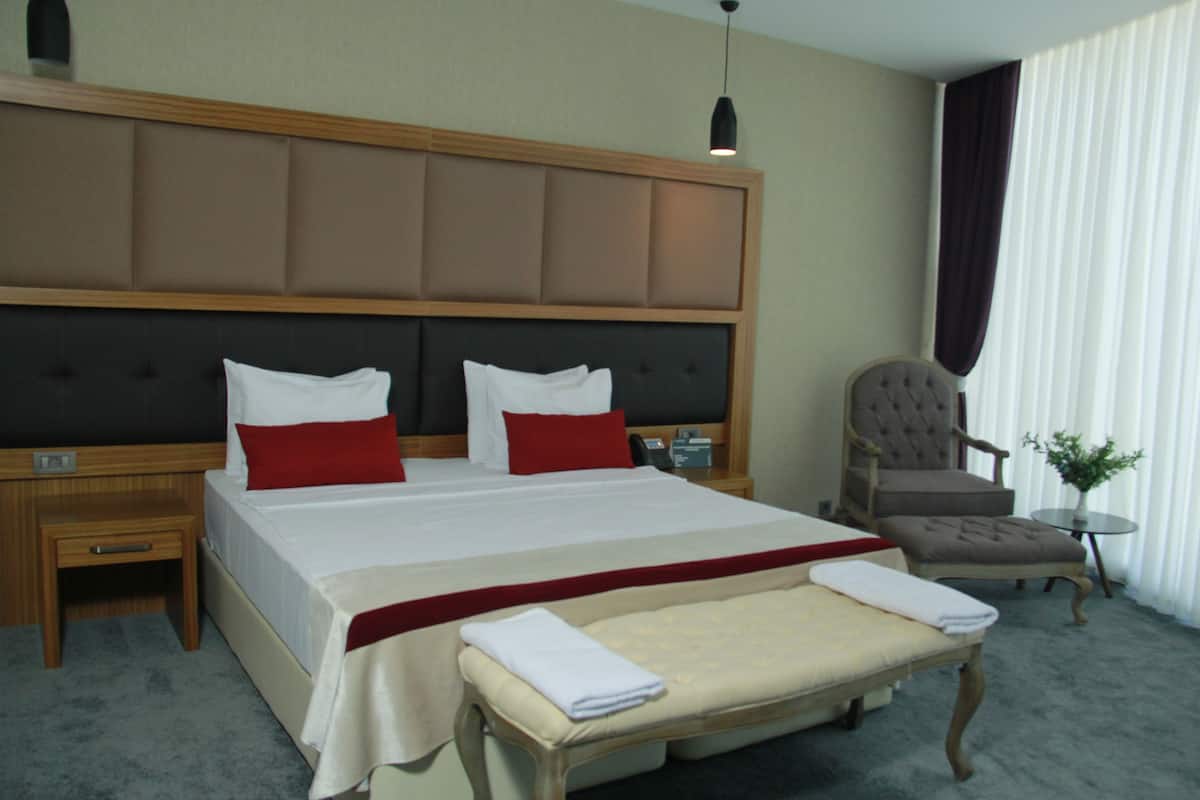 A hotel room with a large bed, a bedside table, a chair, a small table with a plant, and a window with curtains.