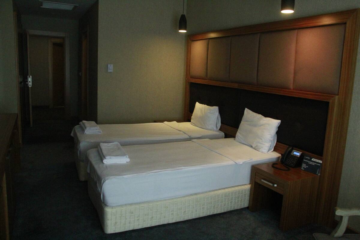 Standard Twin Room, City View | Premium bedding, individually furnished, desk, blackout drapes