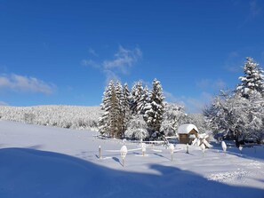 Un paysage enneigé avec une cabane en bois et des arbres couverts de neige.
