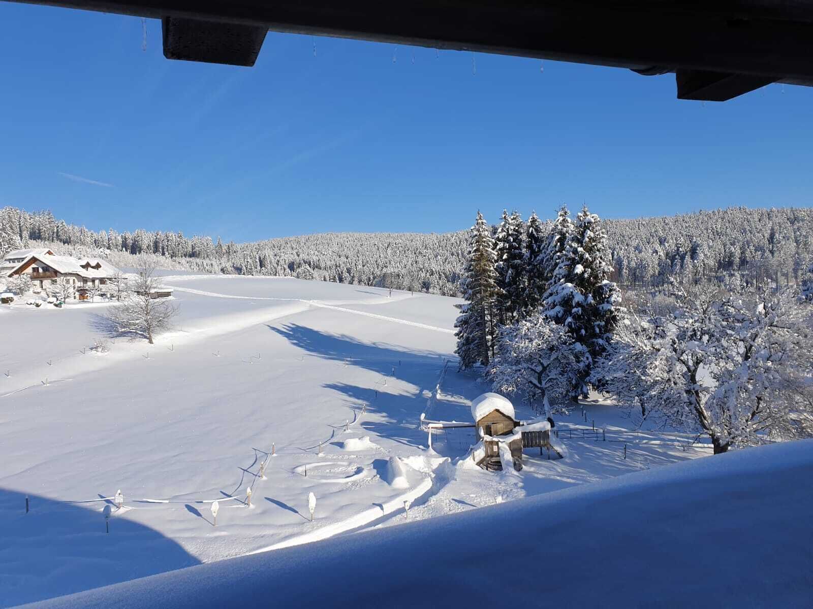 Photo - Landhotel Bartlehof