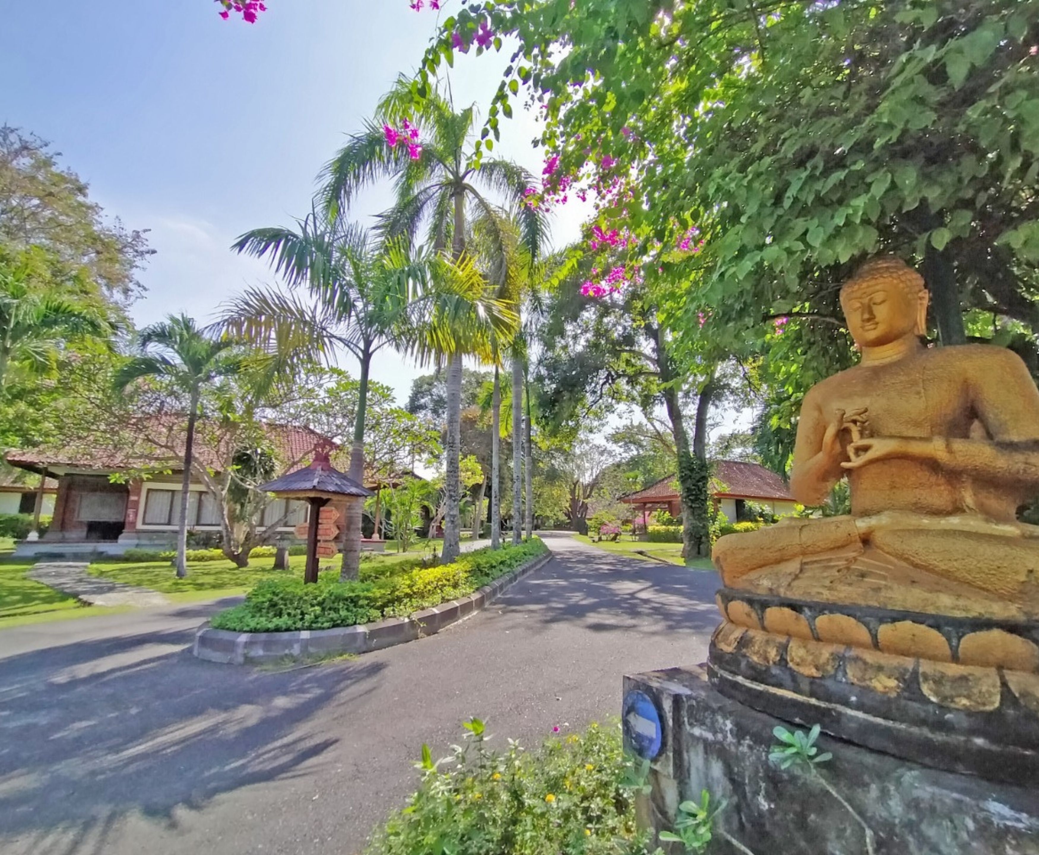 Outdoor banquet area
