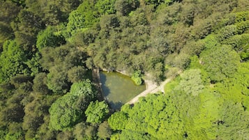 Vista aérea de una zona boscosa con un estanque rodeado de abundante vegetación.