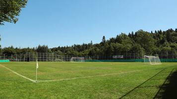 Un campo de fútbol con postes de portería y un asta de bandera, rodeado de una valla y árboles.