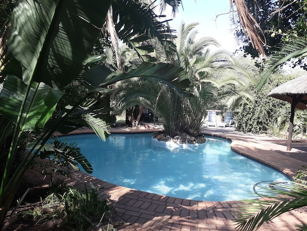 Una piscina al aire libre, tumbonas