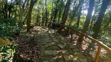 A stone pathway in a forested area with a metal railing on one side.