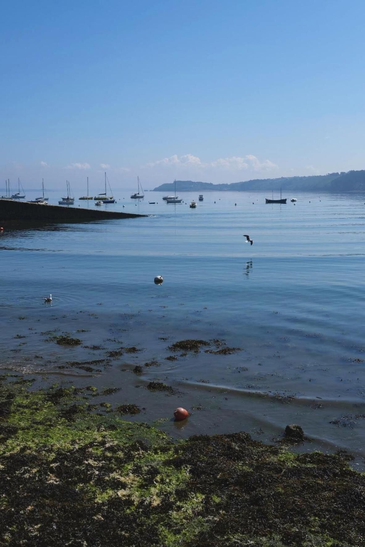 Una orilla tranquila con barcos y un cielo despejado.