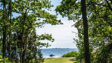 Un sendero que lleva a una playa, flanqueado por árboles a ambos lados.