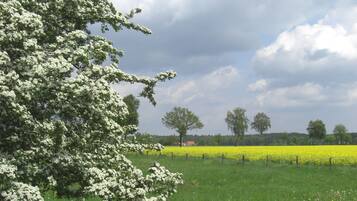 Un paisaje rural con un campo de flores amarillas, un árbol con flores blancas y un cielo nublado.