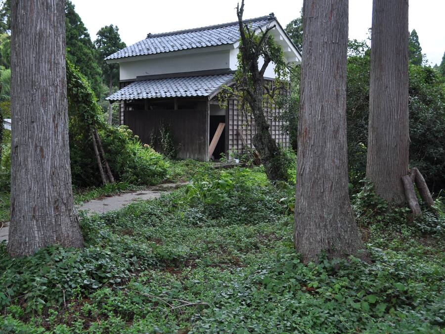 A traditional Japanese house surrounded by dense greenery and trees.