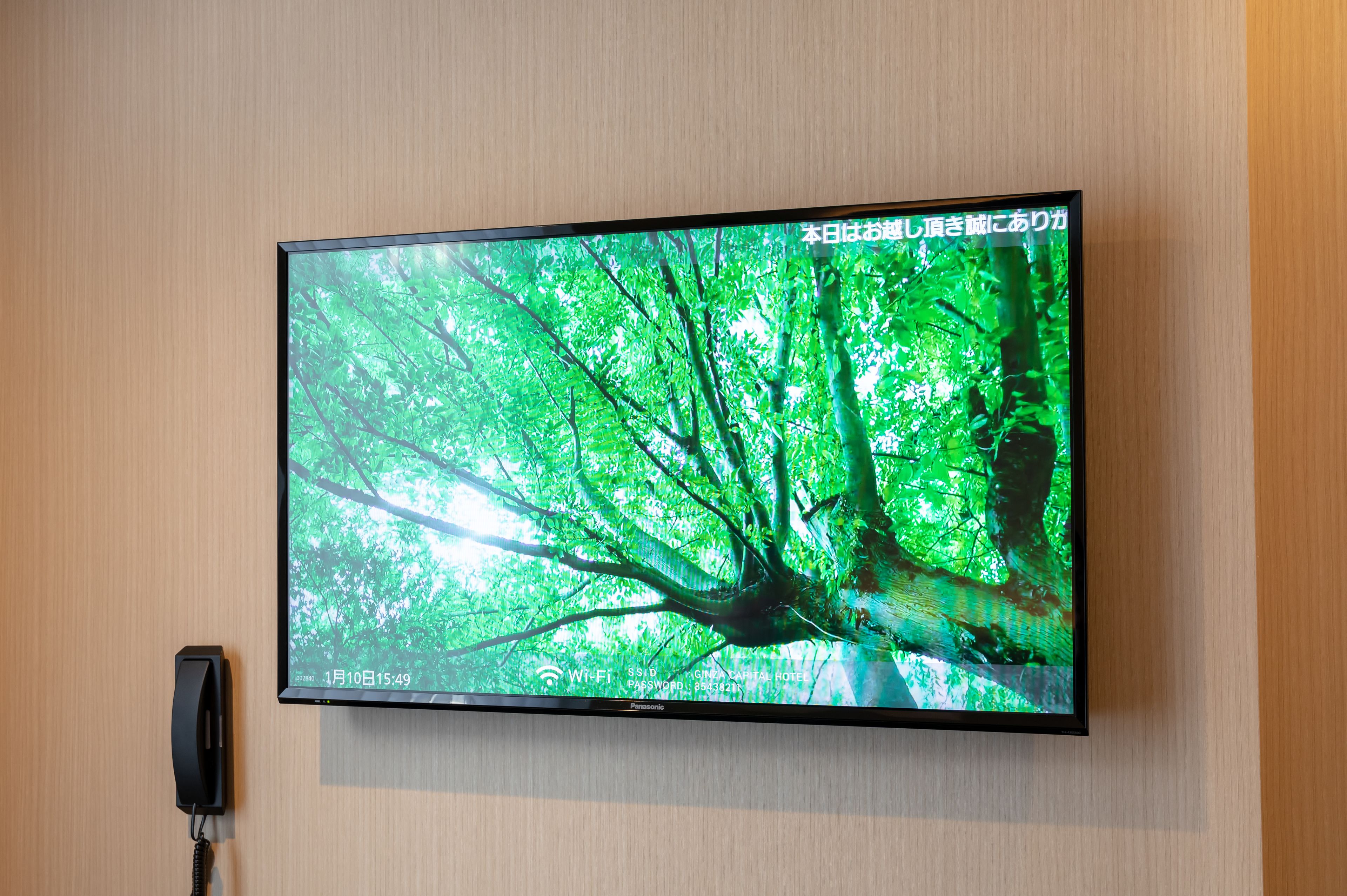 in-room safe, free wifi, bed sheets, wheelchair access